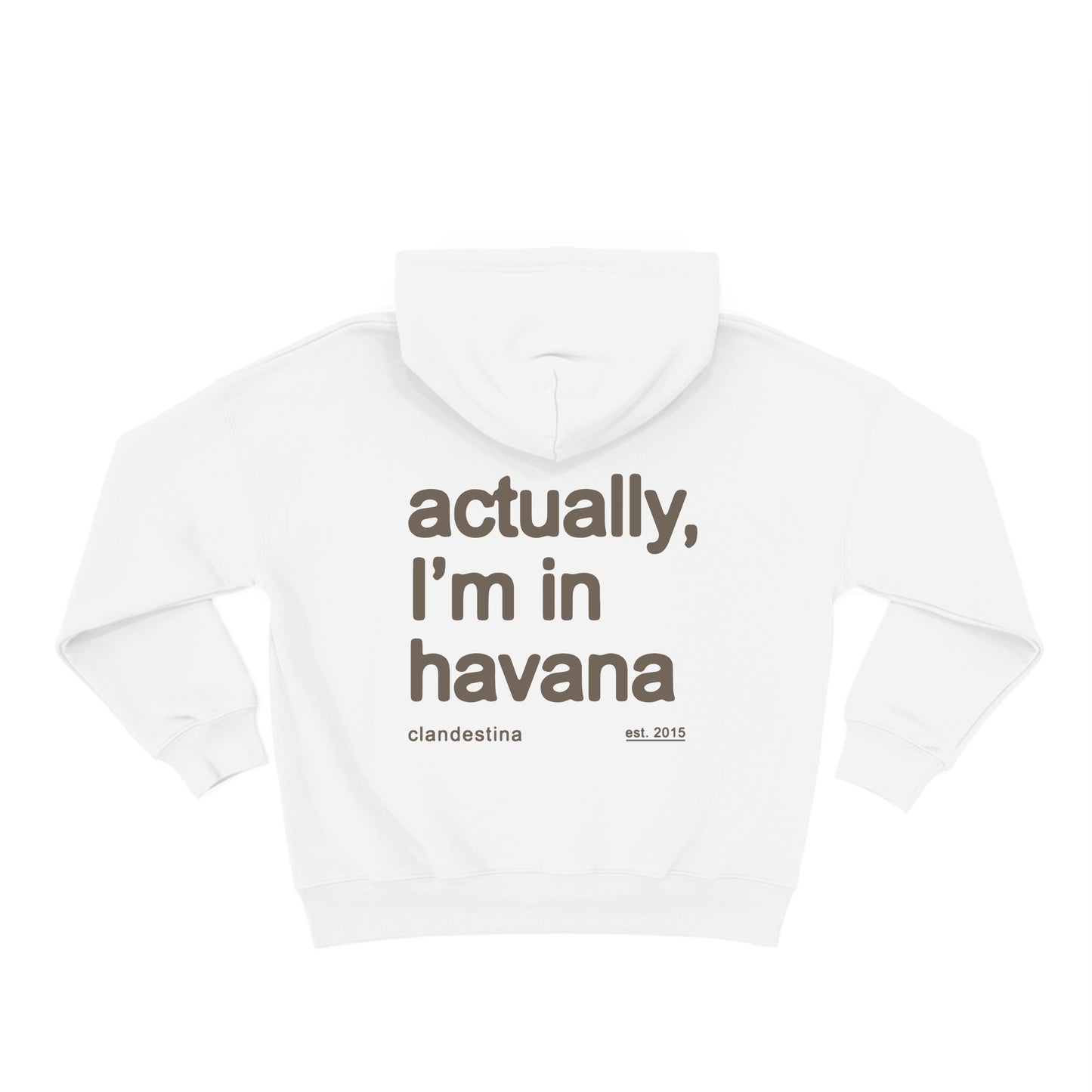 Actually im in Havana - Hoodie