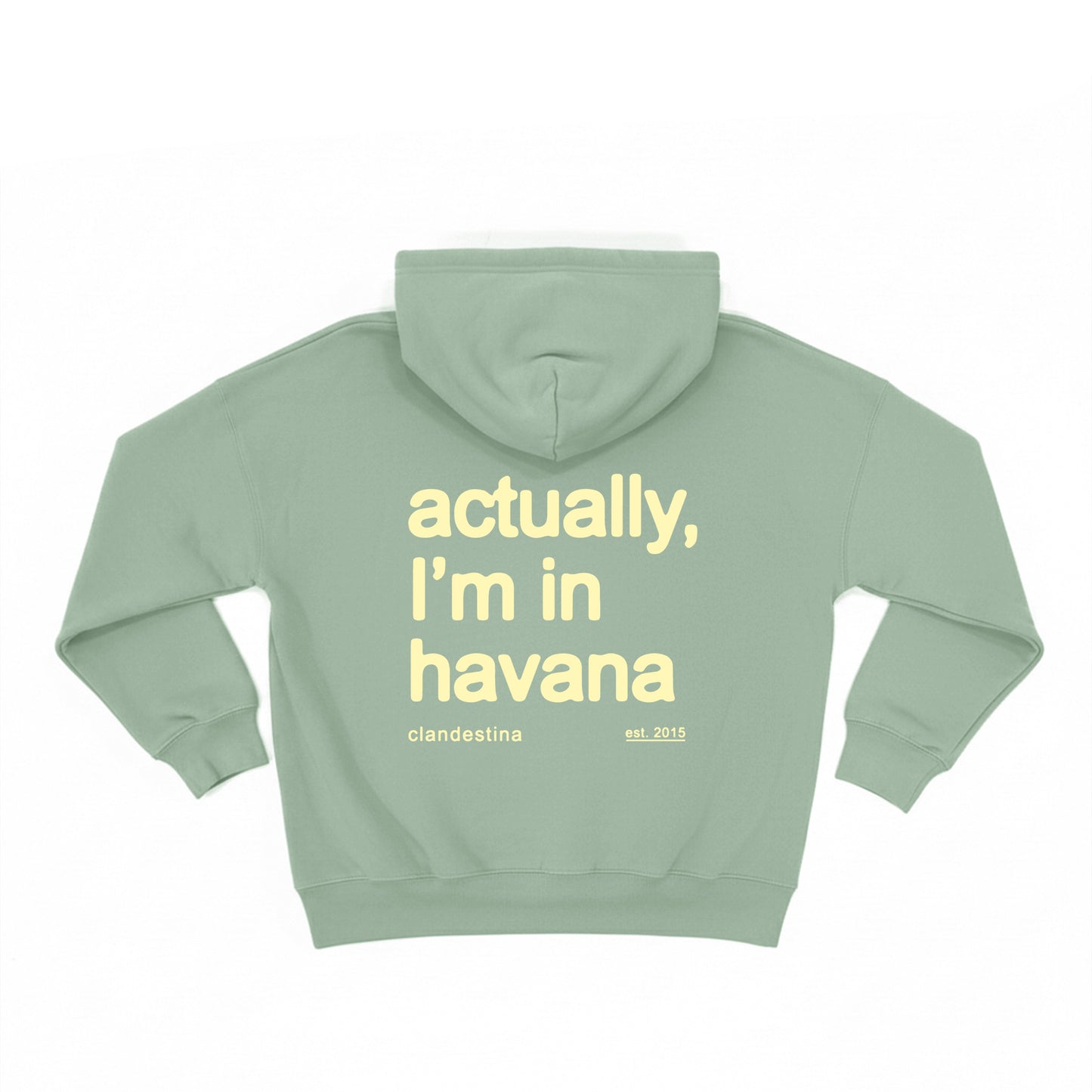 Actually Im in Havana - Hoodie